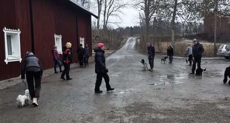 Hälsa- och Hundmötesträning