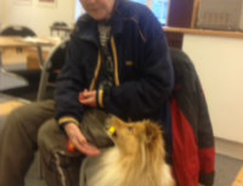 Christina Norberg , Loffe & Samantha