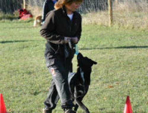 Linnea Larsson & Yatzy