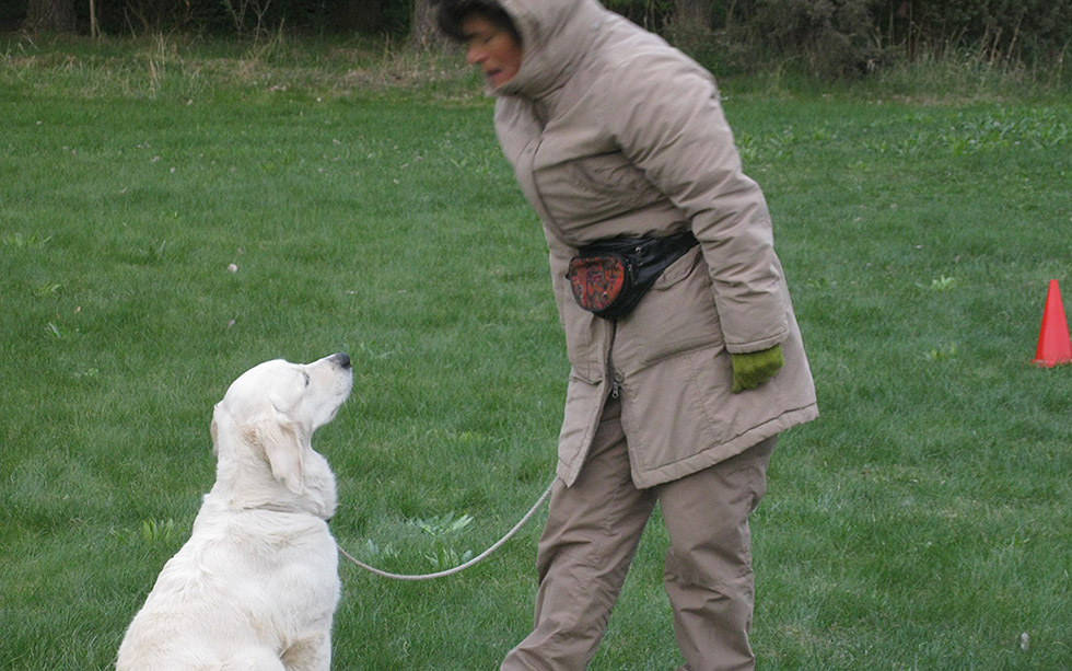 INLÄRD IRRELEVANS Hundhjälpen i Uppland