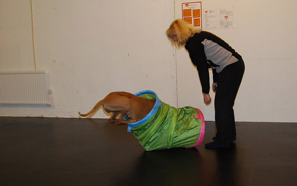 INLÄRD IRRELEVANS Hundhjälpen i Uppland