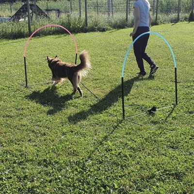 Hoopers Nybörjarkurs