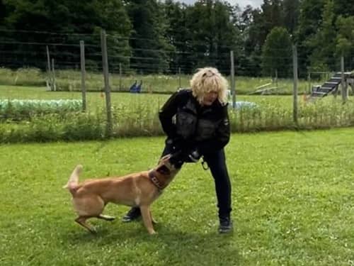 hundhjalpen-uppland-blog-200